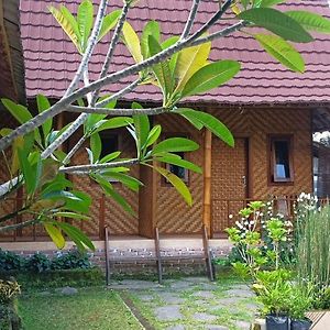 Mysha Guest House-Lombok Tetebatu Exterior photo