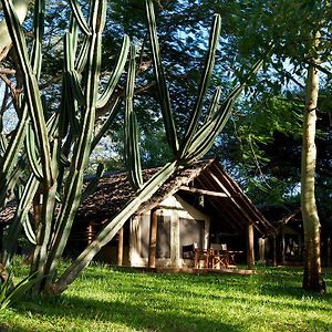 Voyager Ziwani Tented Camp Exterior photo