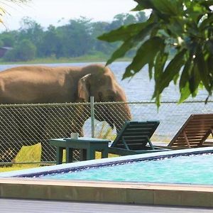 Hotel Lake Park Polonnaruwa Exterior photo