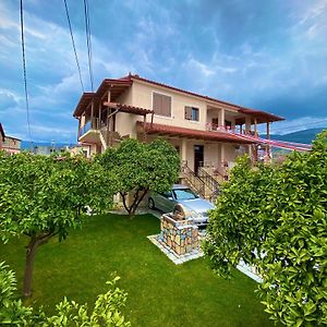 Villa Berat Exterior photo