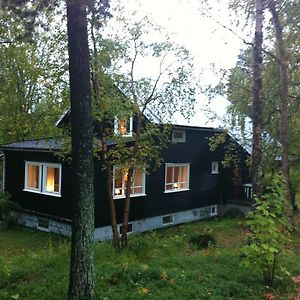 Birk Husky - Guesthouse & Cabins Svanvik Room photo