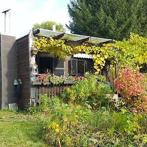 Gemütliches Ferienhaus mit grossem Garten, ideal für Naturliebhaber Gerhardshofen Exterior photo