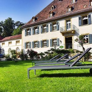 Hotel Schloss Heinsheim Bad Rappenau Exterior photo