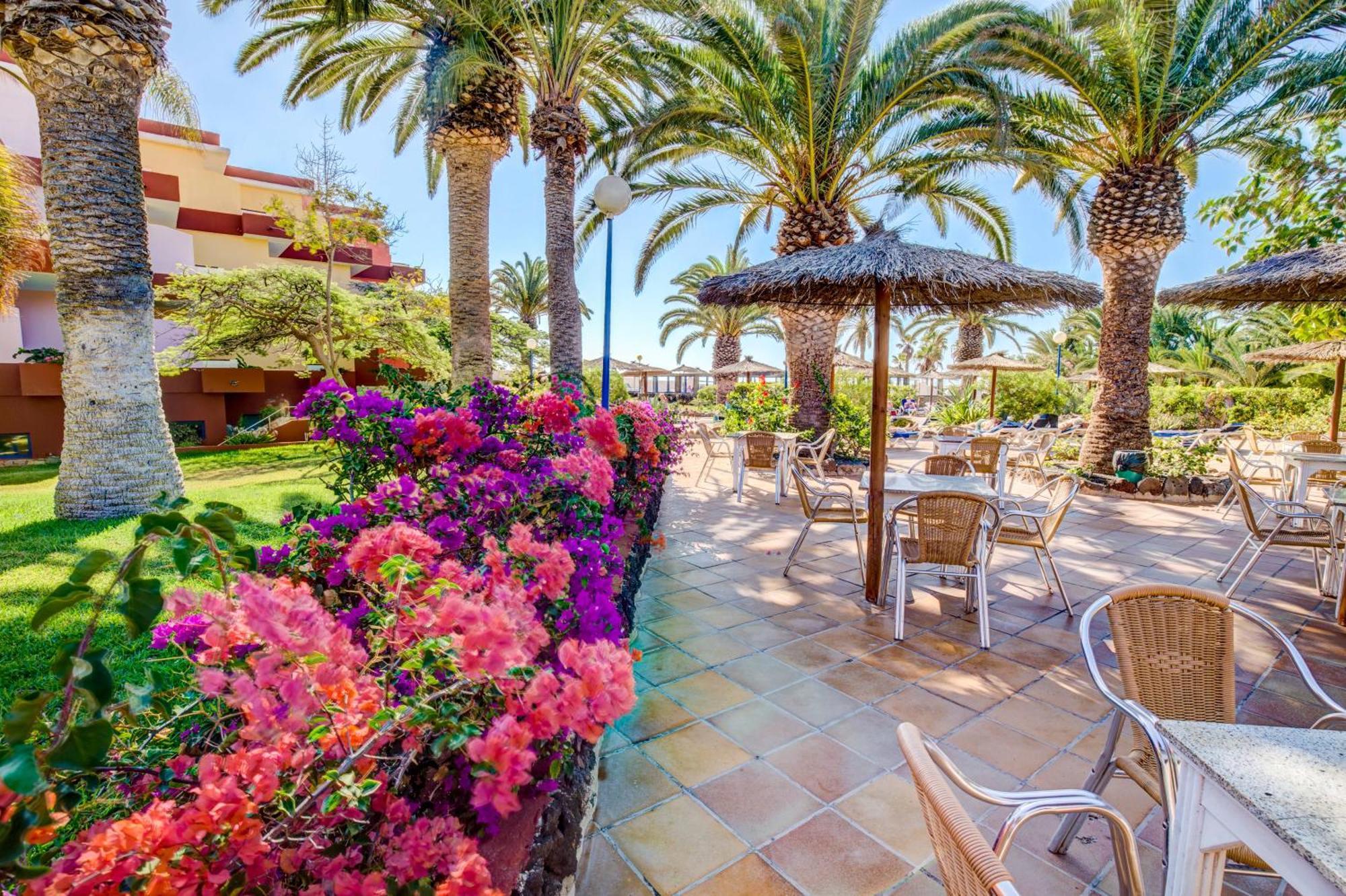 SBH Fuerteventura Playa Hotel Costa Calma Exterior foto