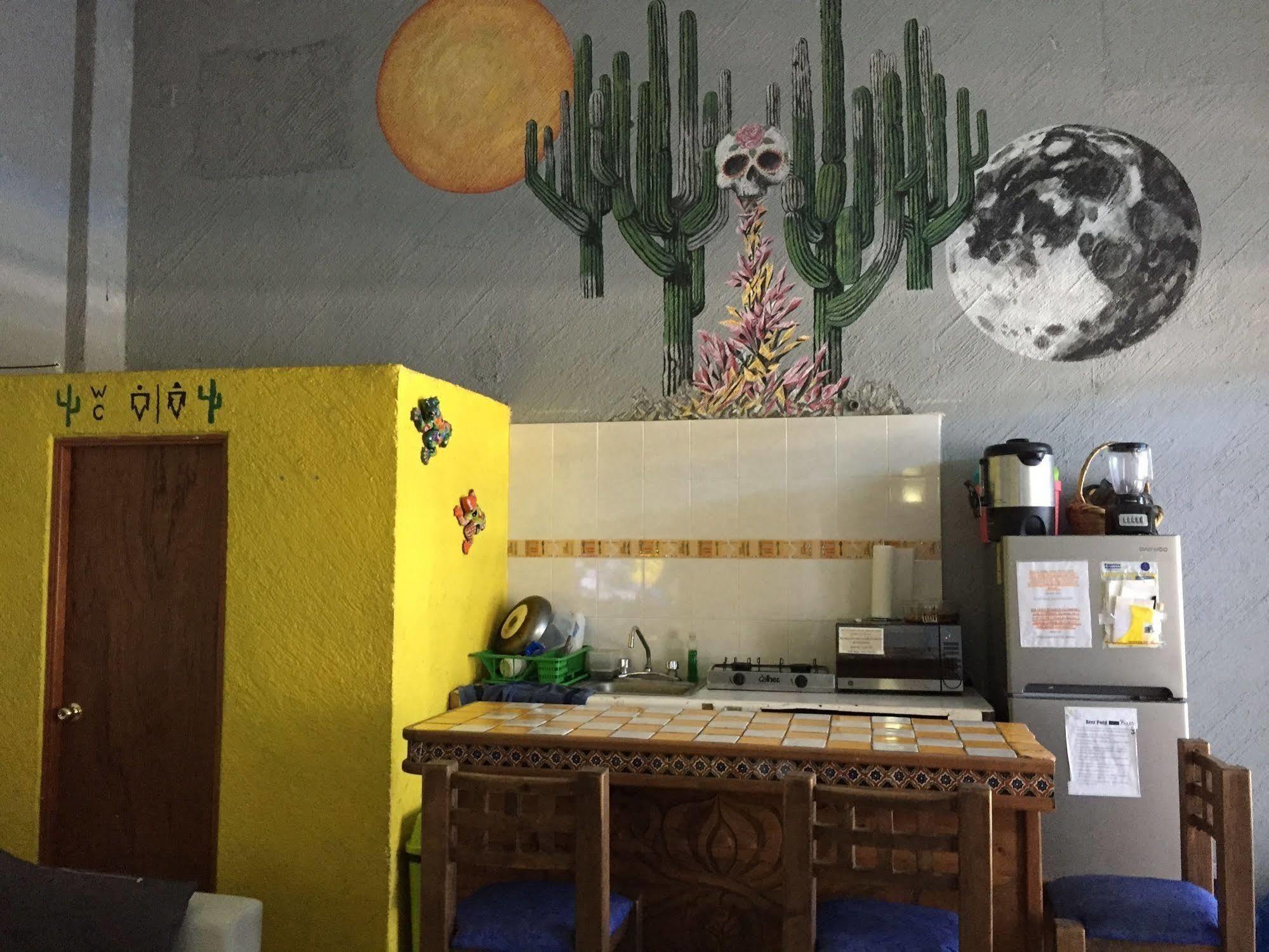 Bajas Cactus Hostel Cabo San Lucas Exterior foto