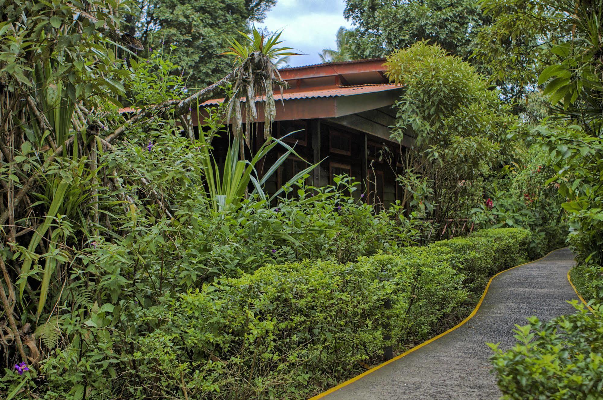 Pachira Lodge Tortuguero Exterior foto