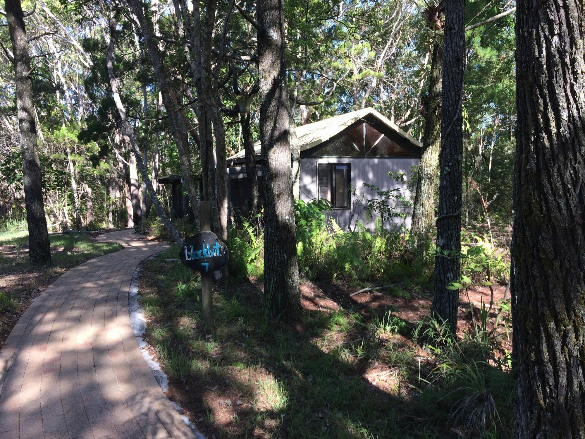 Byron Bay Rainforest Resort Exterior foto