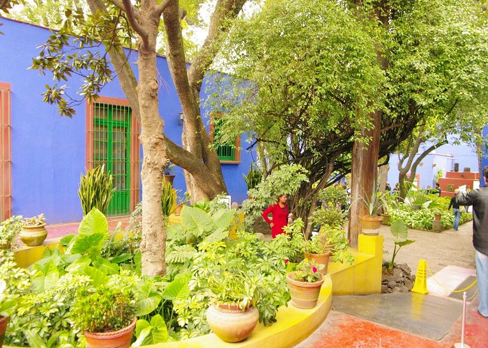 Frida Kahlo House Museum photo