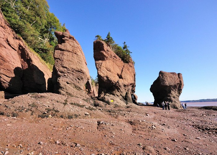 Hopewell Rocks Park photo