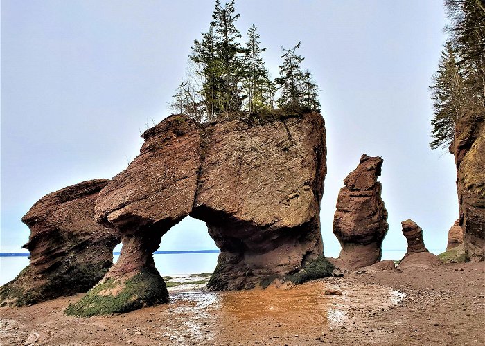 Hopewell Rocks Park photo