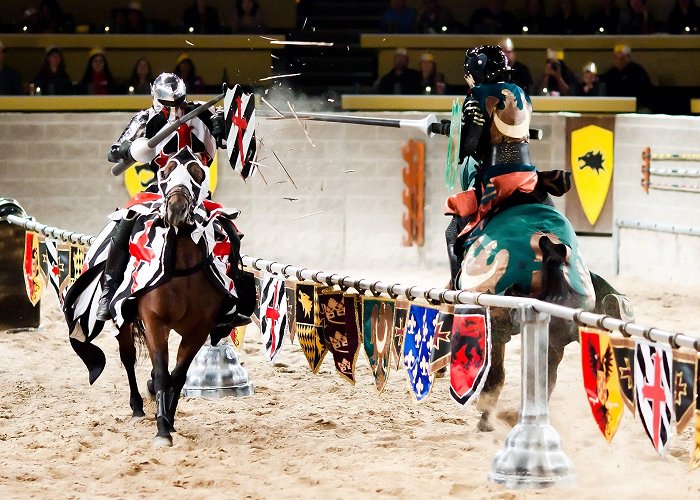 Medieval Times Dinner & Tournament photo