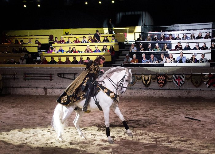 Medieval Times Dinner & Tournament photo