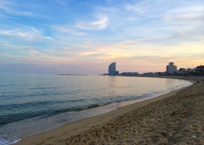 Barceloneta Beach photo