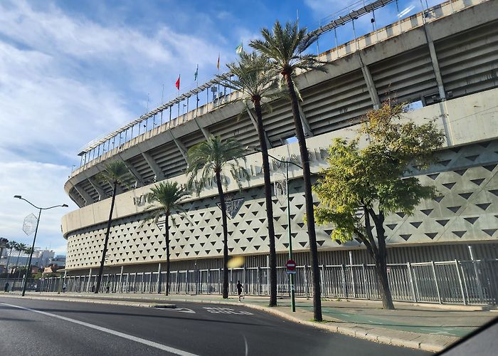 Estadio Benito Villamarín photo