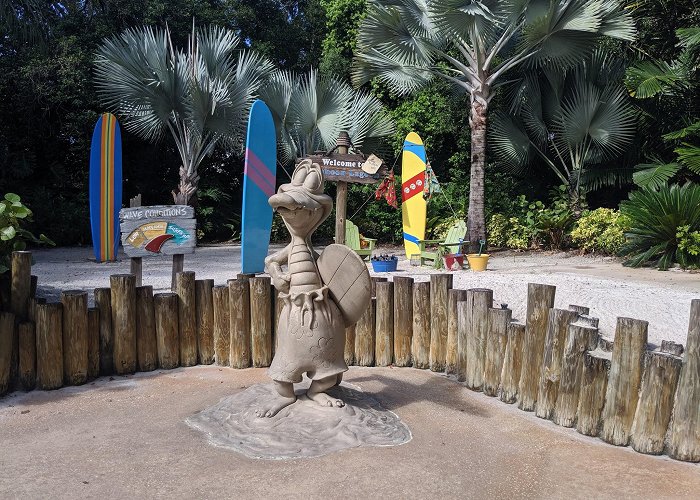 Typhoon Lagoon photo