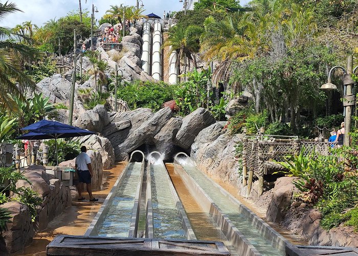 Typhoon Lagoon photo