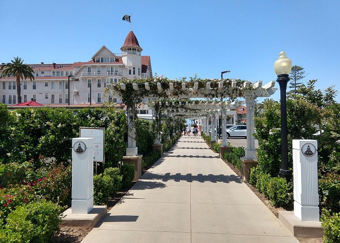 Coronado Beach photo