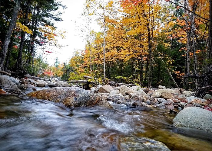 Crawford Notch State Park photo