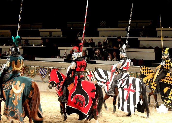 Medieval Times Dinner & Tournament Medieval Times Dinner and Tournament at Toronto Castle photo