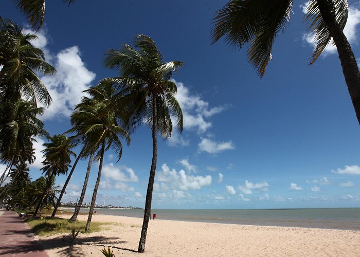 Cabo Branco beach Things to Do in João Pessoa in 2024 | Expedia photo