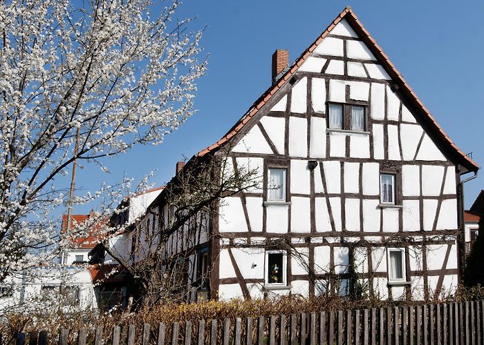 Langener Waldsee Visit Langen: 2024 Travel Guide for Langen, Frankfurt | Expedia photo