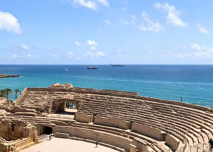 Roman Amphitheatre Roman and Romanesque in Tarragona, Spain - Lions in the Piazza photo