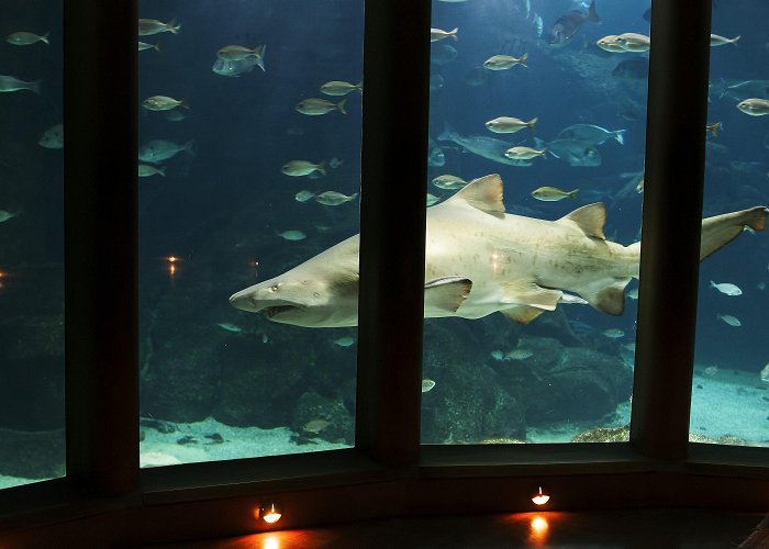 Aquarium Finisterrae Visit Artabro Gulf: Best of Artabro Gulf Tourism | Expedia Travel ... photo