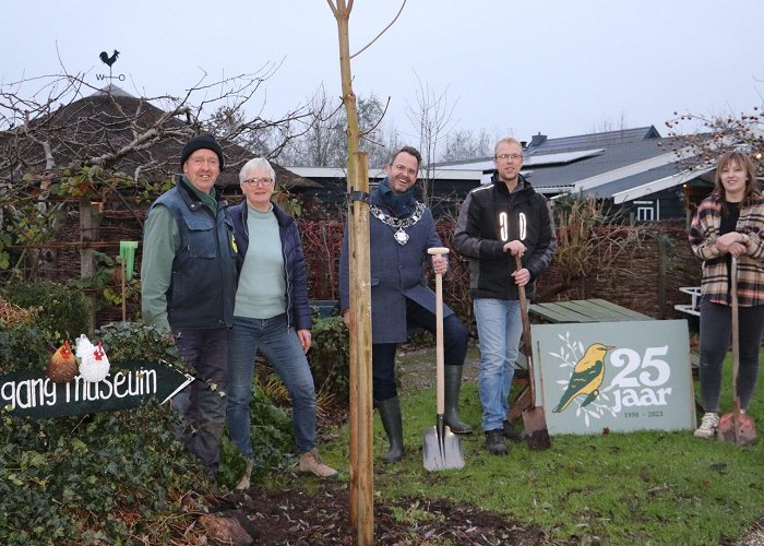 Klompenwinkel de Wielewaal Noorse Esdoorn voor jubilerend Natuurmuseum De Wielewaal | Al het ... photo