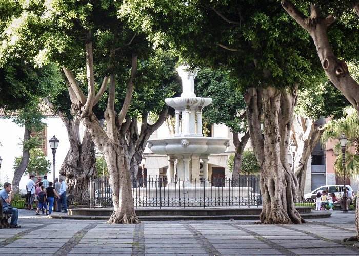 Plaza del Adelantado 607 | Plaza Del Adelantado | Descubre Tenerife photo