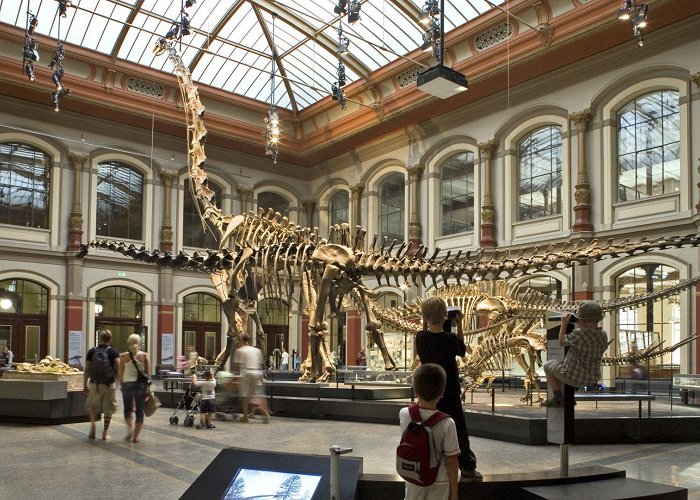 German Historical Museum German natural history museums - Germany Travel photo