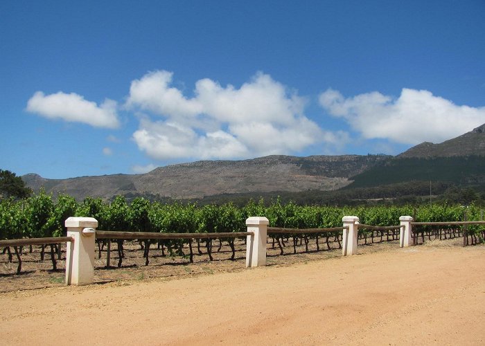 Constantia Uitsig Wine Estate FOR SALE : CONSTANTIA UITSIG WINE ESTATE | One of South Africa's ... photo