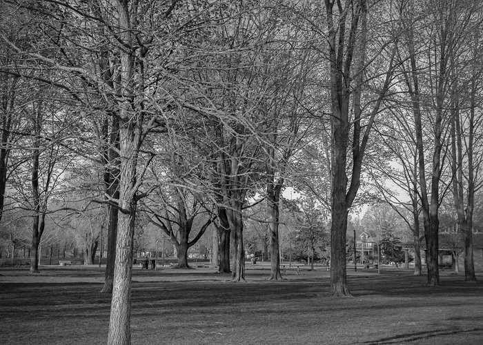 WITHROW PARK Withrow Park, Toronto – My Third Eye photo