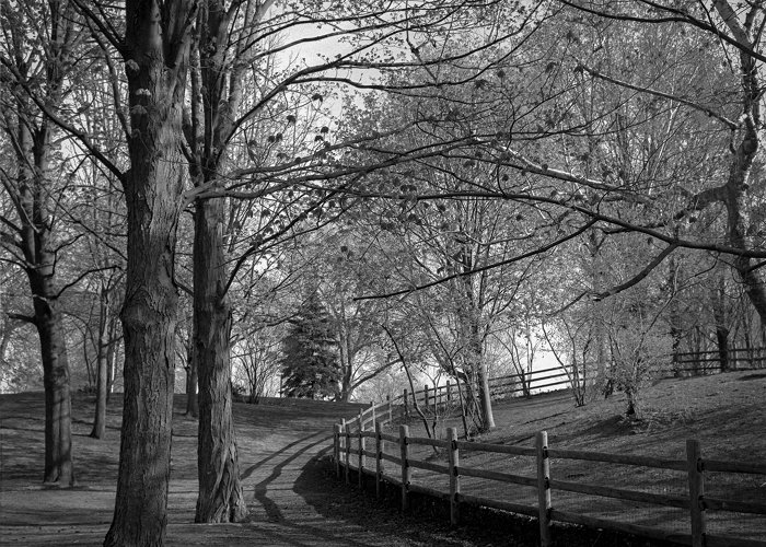 WITHROW PARK Withrow Park, Toronto – My Third Eye photo