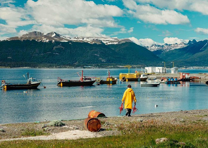 Almanza Harbour La Ruta Natural | The Beagle Channel and Almanza Port photo