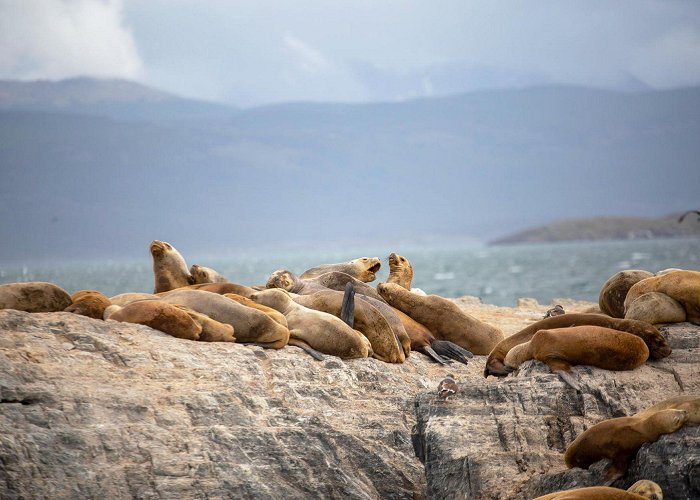 Almanza Harbour La Ruta Natural | The Beagle Channel and Almanza Port photo