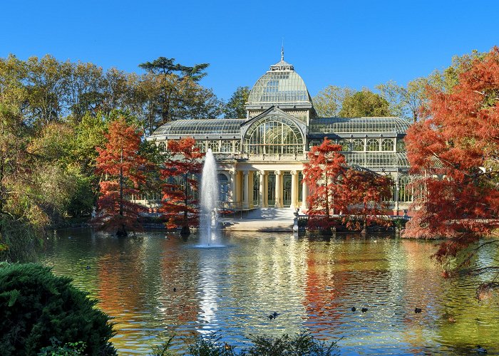 Palacio De Cristal Visita Palacio de Cristal en Retiro - Tours & Actividades ... photo