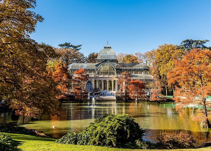 Palacio De Cristal Visita Palacio de Cristal en Retiro - Tours & Actividades ... photo