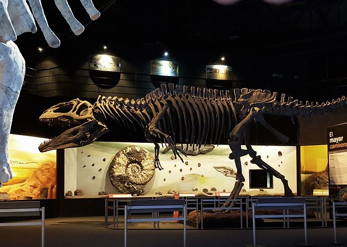 Egidio Feruglio Paleontological Museum Exhibitions | MEF photo