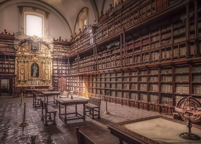 Biblioteca Palafoxiana Strong DA vibes. This is the Biblioteca Palafoxiana in Puebla ... photo