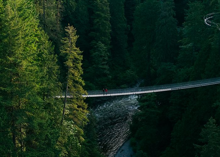 Capilano Suspension Bridge Park Capilano Suspension Bridge Park photo