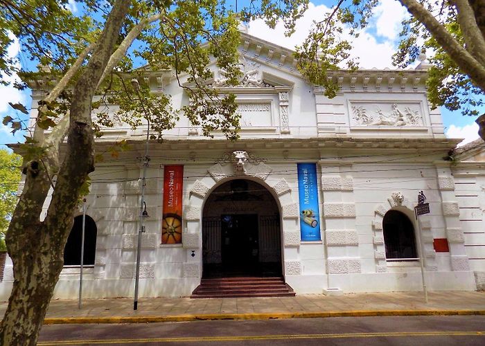 Museo Naval de la Nacion Tigre Experience - BA Insiders Tours photo