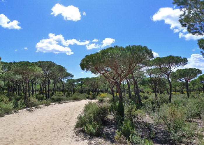 Golf Dunas de Doñana Visit Matalascanas: Best of Matalascanas Tourism | Expedia Travel ... photo