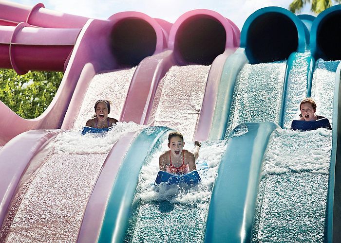 Adventure Island Adventure Island | Tampa, FL | 37601 photo