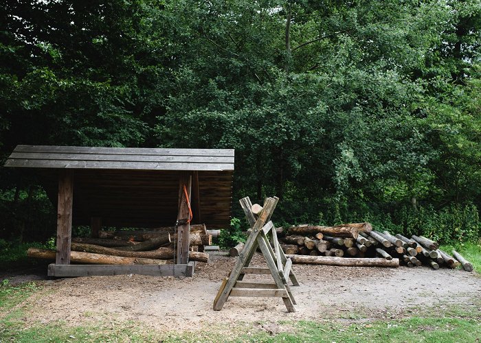 Nieuw Soerel Kampeerterrein Nieuw Soerel, ontdek de bossen van de Veluwe photo