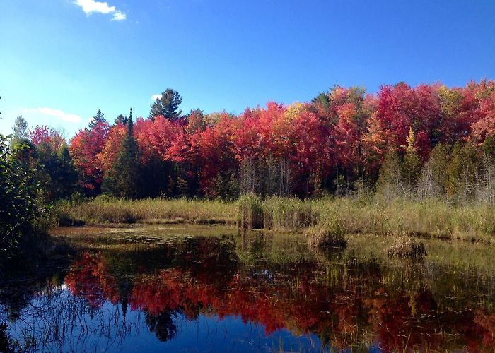 Marais de la Riviere aux Cerises Vacation Homes near Cherry River Marsh, Magog: House Rentals ... photo