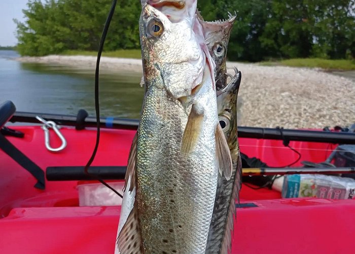 Laguna Mandinga Grande ᐅ Laguna Mandinga Grande fishing reports🎣• Veracruz-Llave ... photo