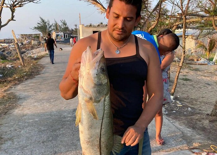 Laguna Mandinga Grande ᐅ Río Papaloapan fishing reports🎣• Veracruz-Llave, Mexico fishing photo