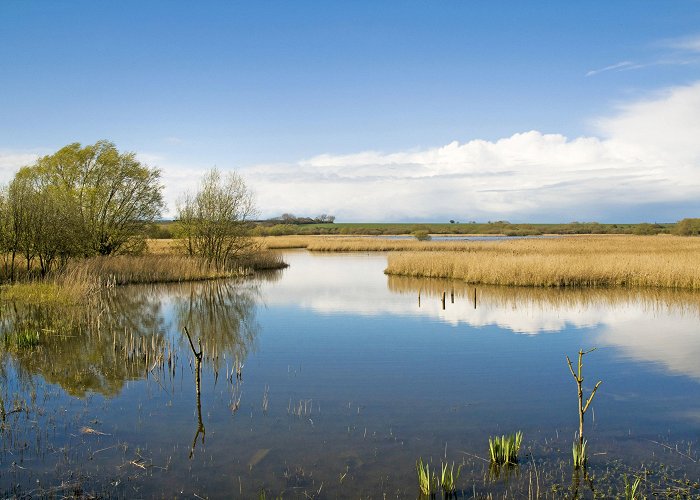 Stodmarsh National Nature Reserve A good walk: Stodmarsh national nature reserve and Grove Ferry, Kent photo