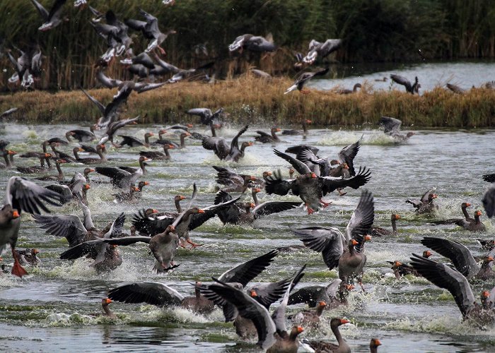 Stodmarsh National Nature Reserve Stodmarsh National Nature Reserve photo