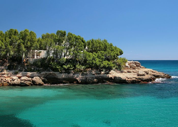 Cala Vidre Visit Calafat: 2024 Travel Guide for Calafat, L'Ametlla de Mar ... photo